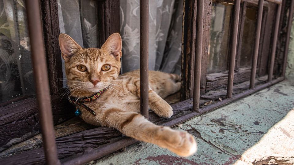 Bairro Matta Sur - Santiago Local E Autêntico foto 4