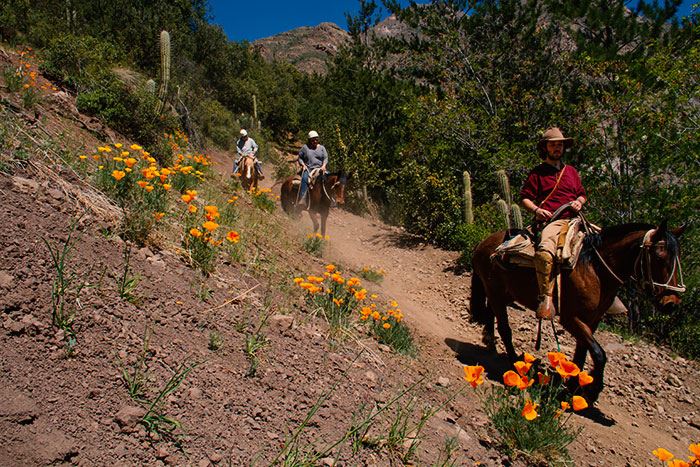 Horseback Riding Through The Animas Waterfall With Barbecue In Cajón Del Maipo (8)