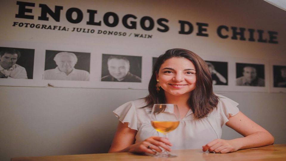 Cena Maridaje De Autor – Sabores Y Vinos De Chile foto 9