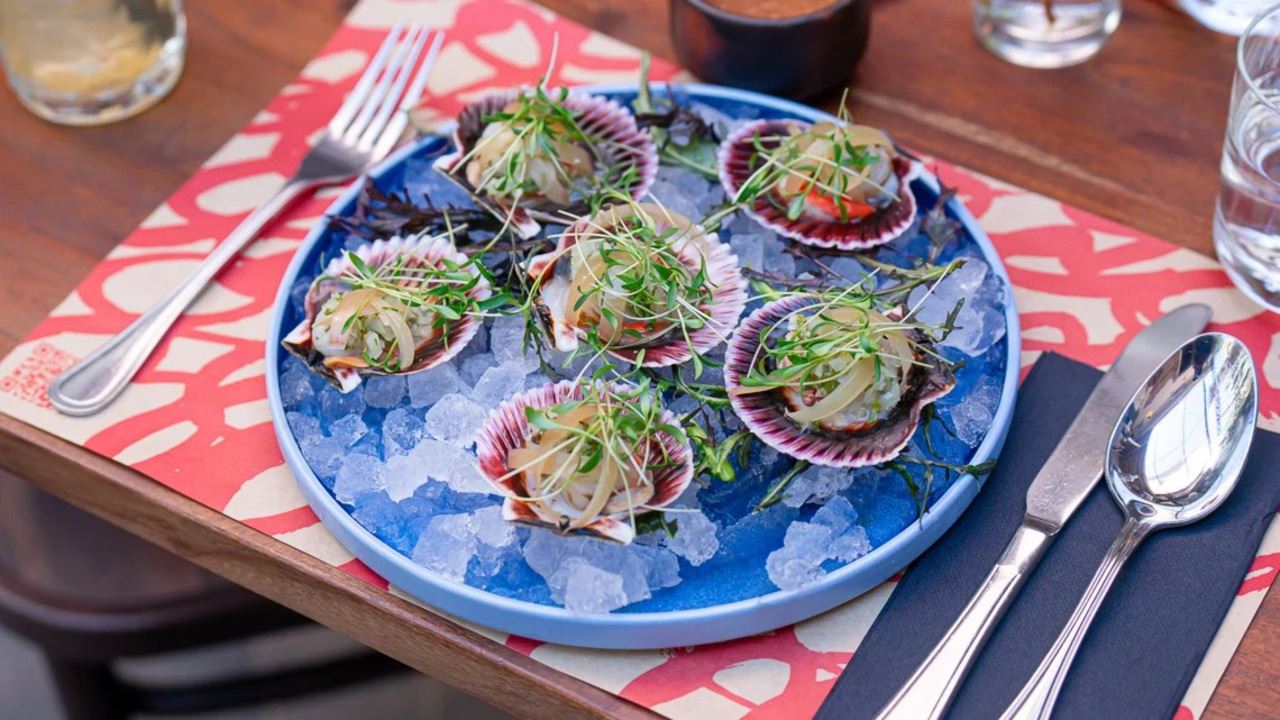 Experiencia Culinaria En Lastarria: Vinos, Historia Y Sabores De Chile foto 4