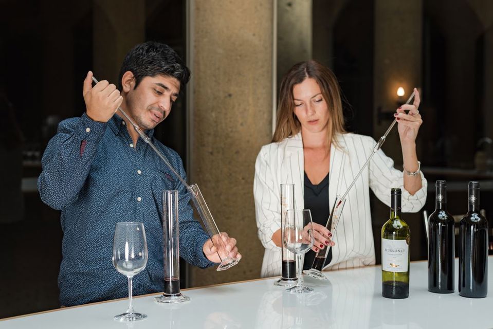 Haras De Pirque: Vinhedo Orgânico E Degustação De Vinhos Icônicos foto 7