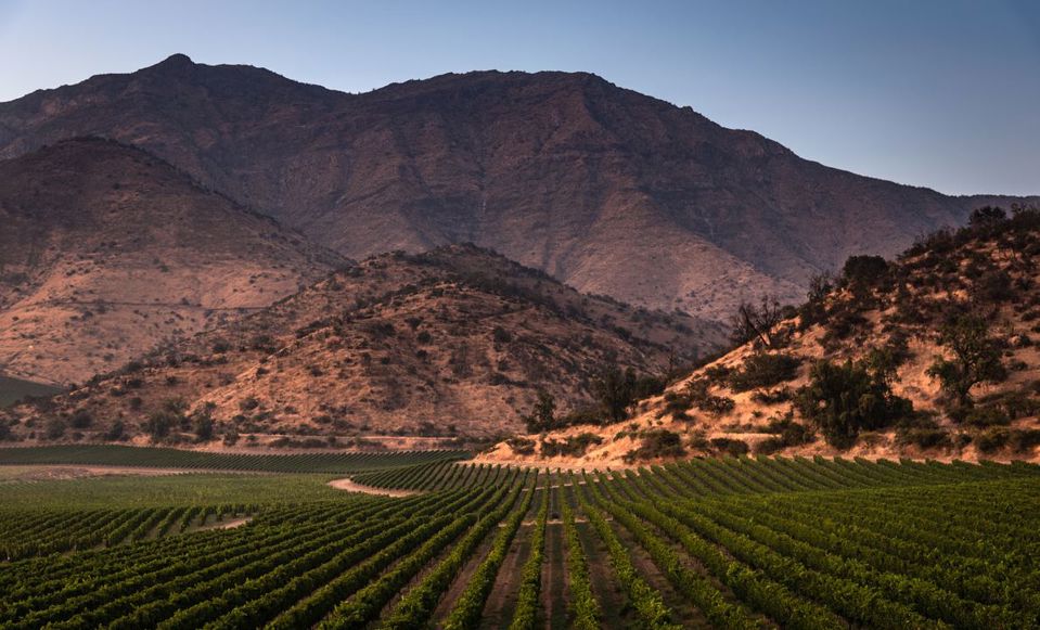 Haras De Pirque: Vinhedo Orgânico E Degustação De Vinhos Icônicos foto 5