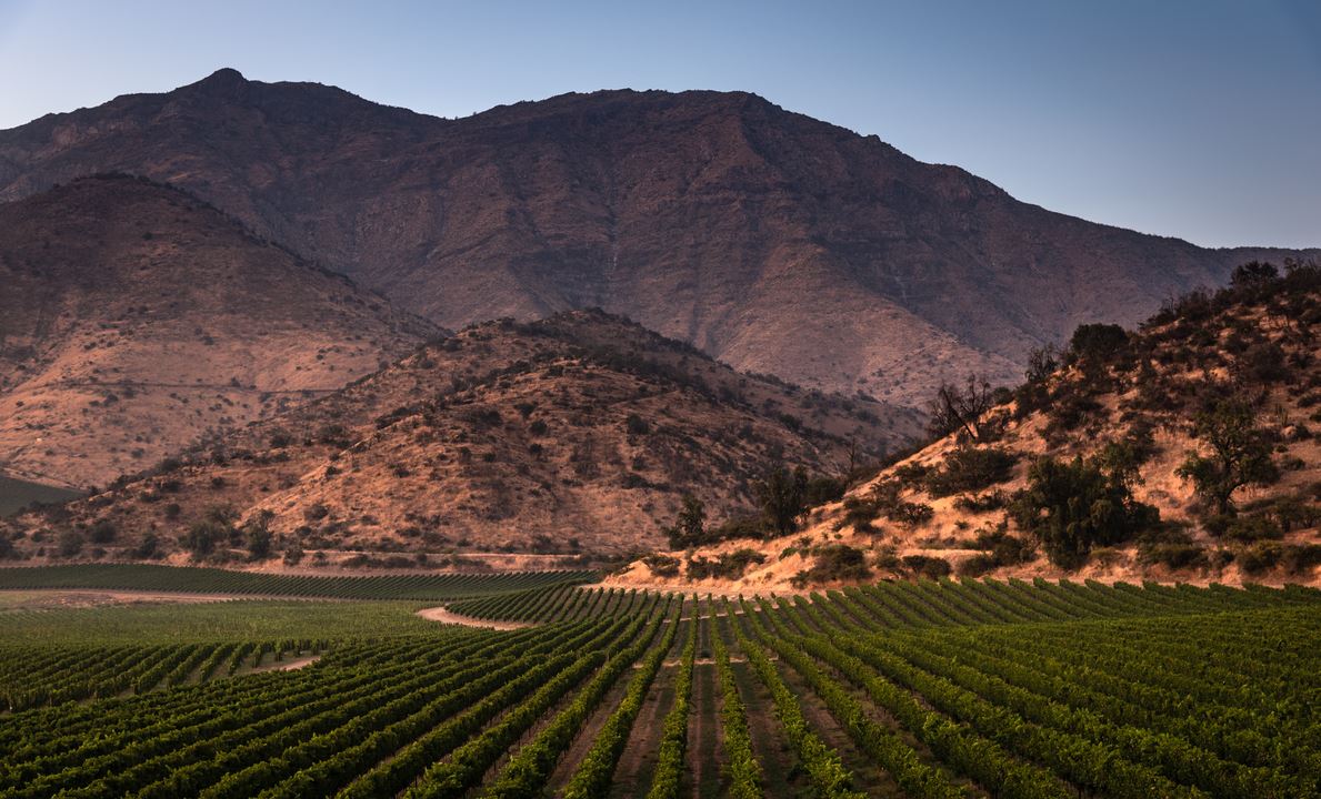 Haras De Pirque: Organic Vineyard Iconic Wine Tasting (4)