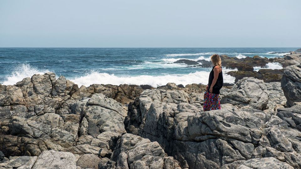 Rota Neruda - Isla Negra, Pomaire E Vinhedo Undurraga foto 4