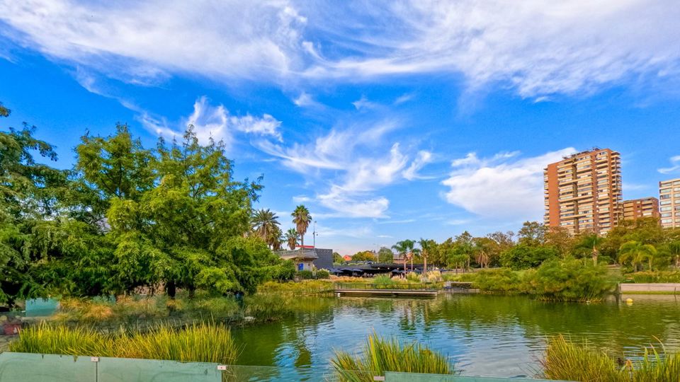 Sunset Sky Costanera And Bahá`í Temple

 foto 7