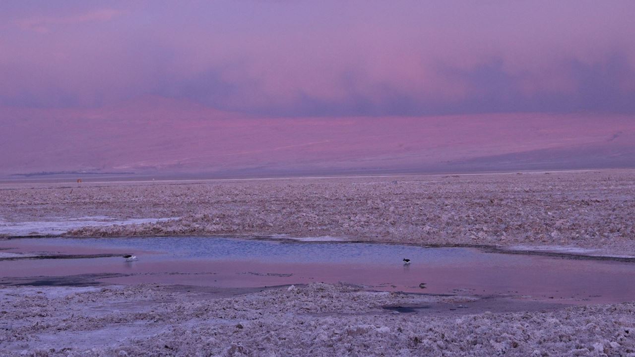 Lo Mejor De Santiago, La Serena Y San Pedro De Atacama foto 13
