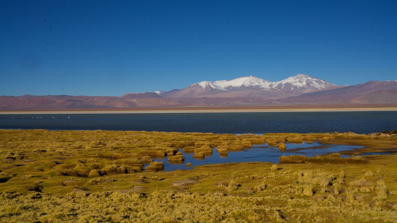 Lo Mejor De Santiago, La Serena Y San Pedro De Atacama foto 5
