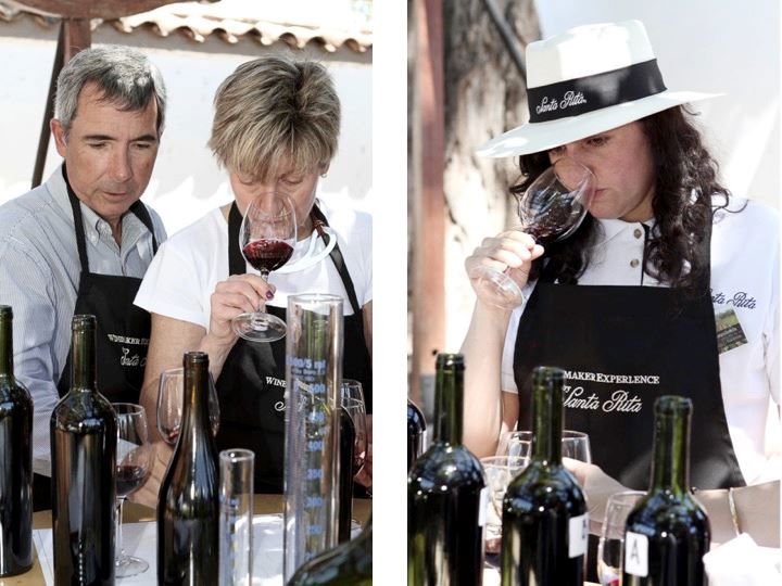 Tour To Santa Rita Vineyard From Santiago foto 14