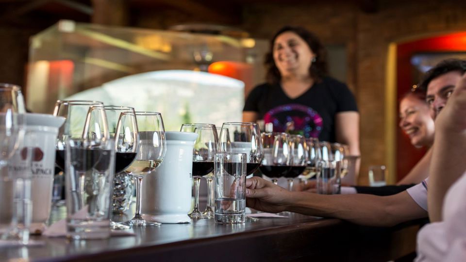 Tour To Santa Rita Vineyard From Santiago foto 12