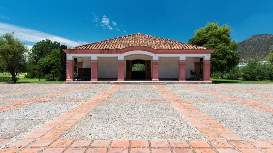 Tour To Santa Rita Vineyard From Santiago foto 4