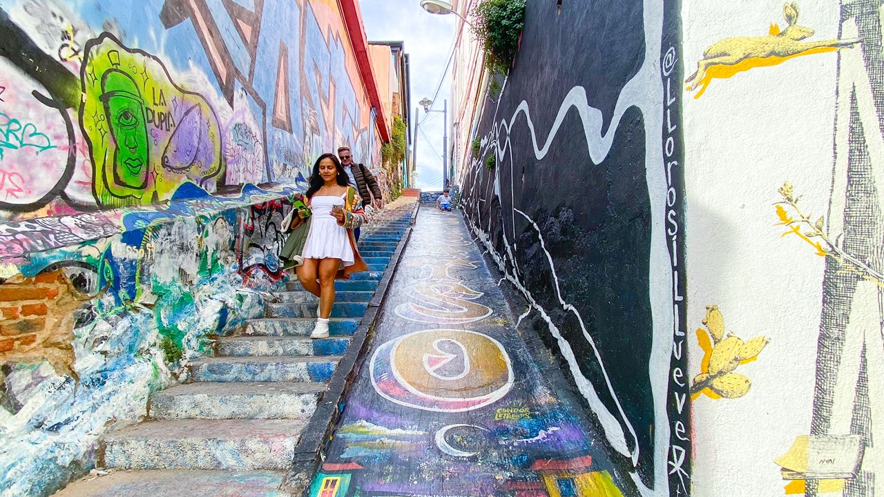 Passeio A Valparaíso E Viña Del Mar. (8)