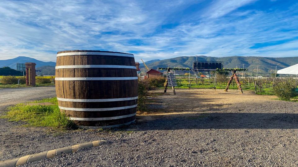 Passeio A Valparaíso E Viña Del Mar. foto 31