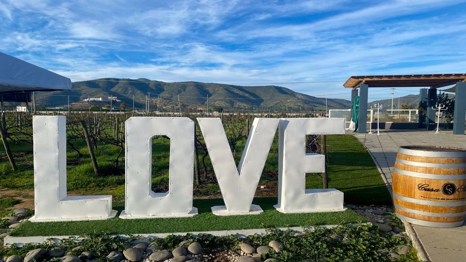 Passeio A Valparaíso E Viña Del Mar. foto 32