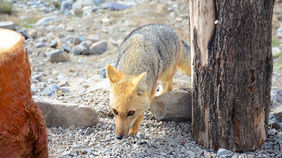 Reservatório El Yeso E Passeio Pelo Cajón Del Maipo foto 8