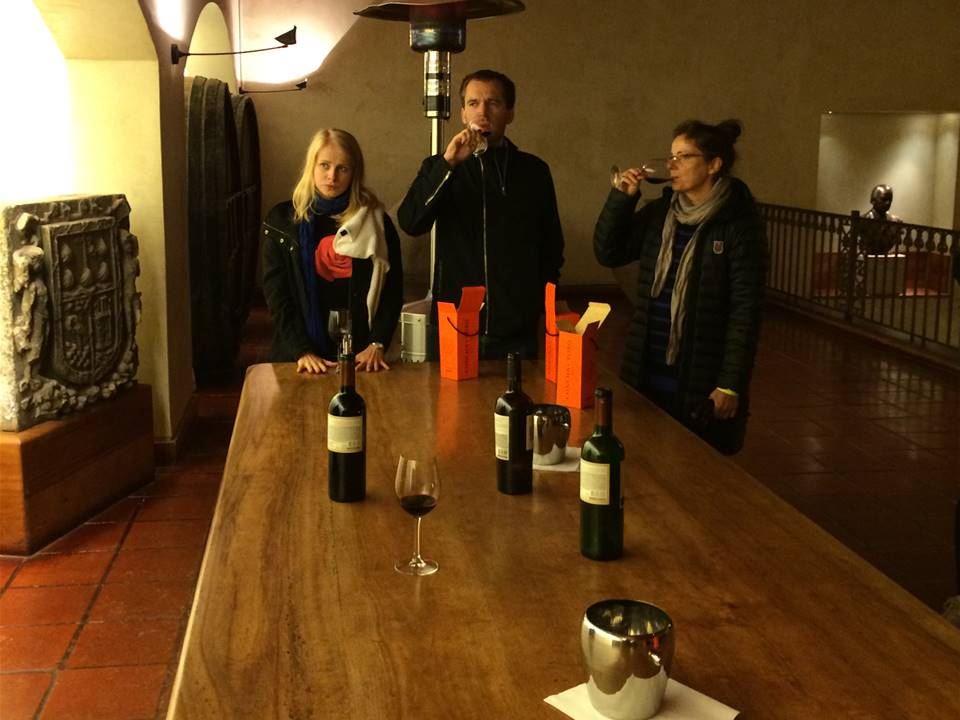 Tour E Degustação Na Vinícola Concha Y Toro (8)
