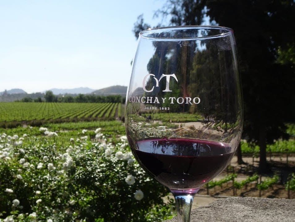 Tour E Degustação Na Vinícola Concha Y Toro (6)