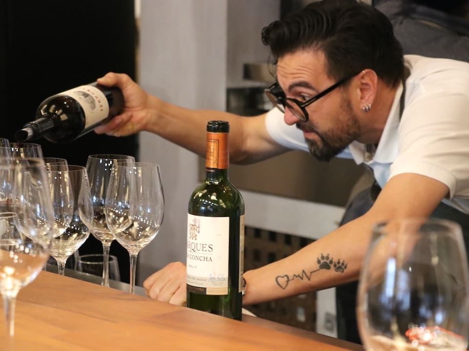 Tour E Degustação Na Vinícola Concha Y Toro (7)