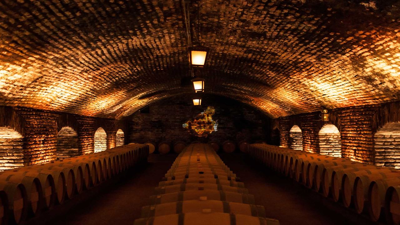 Tour E Degustação Na Vinícola Concha Y Toro (1)