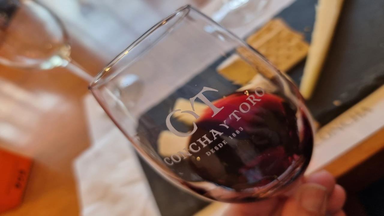 Tour E Degustação Na Vinícola Concha Y Toro (5)