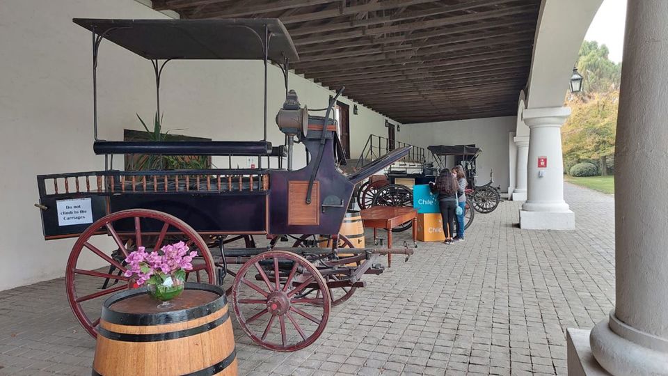 Undurraga Vineyard Tour And Tasting From Santiago foto 14