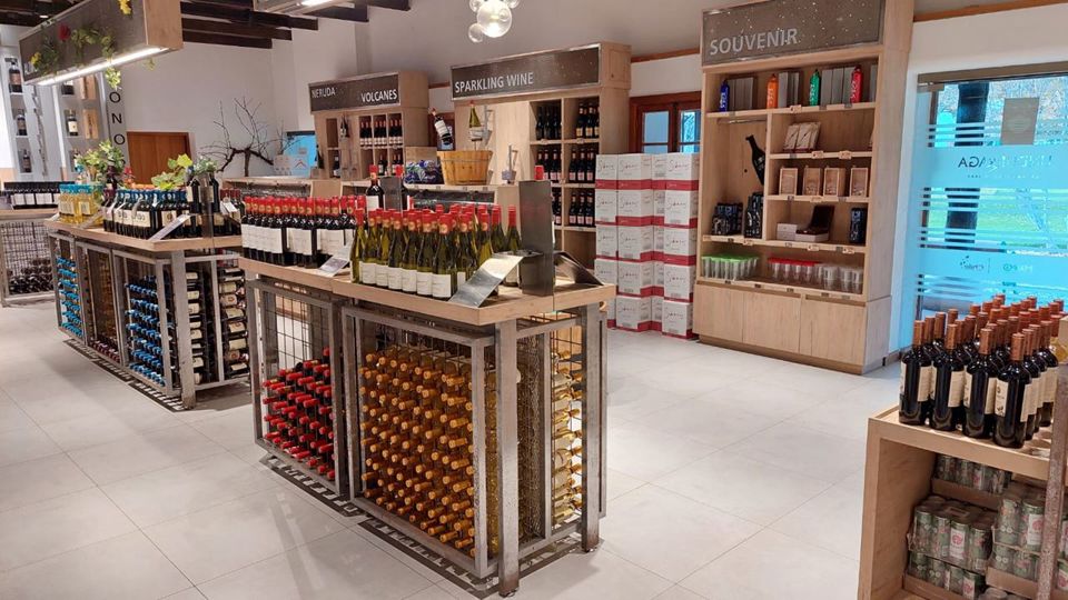 Undurraga Vineyard Tour And Tasting From Santiago foto 15