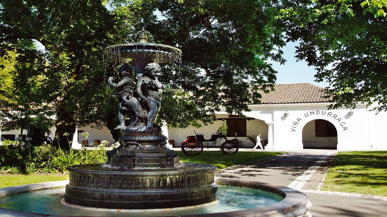 Passeio E Degustação Pela Vinícola Undurraga Saindo De Santiago (0)