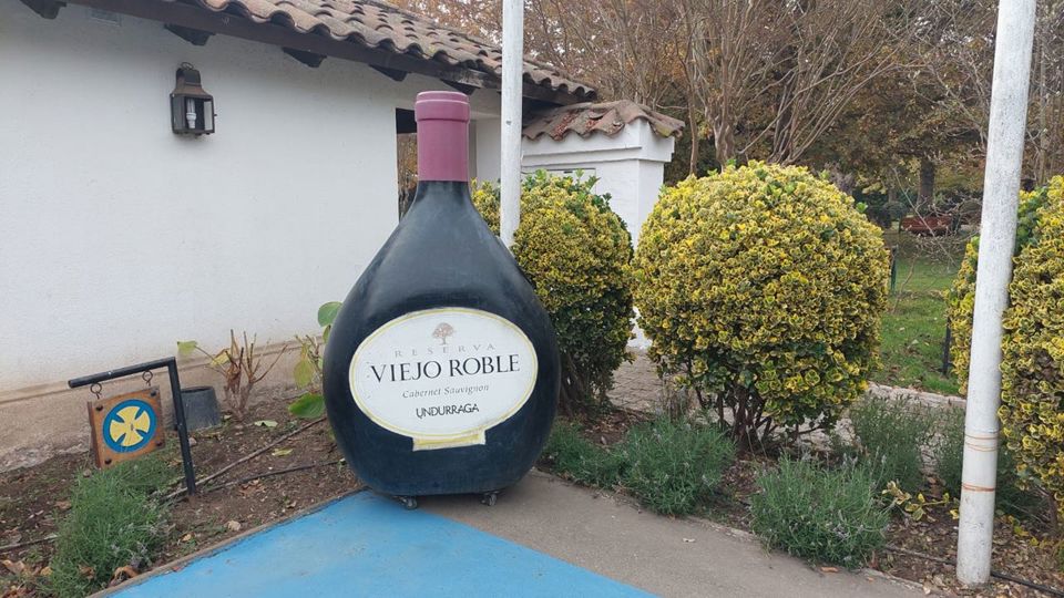 Undurraga Vineyard Tour And Tasting From Santiago foto 8