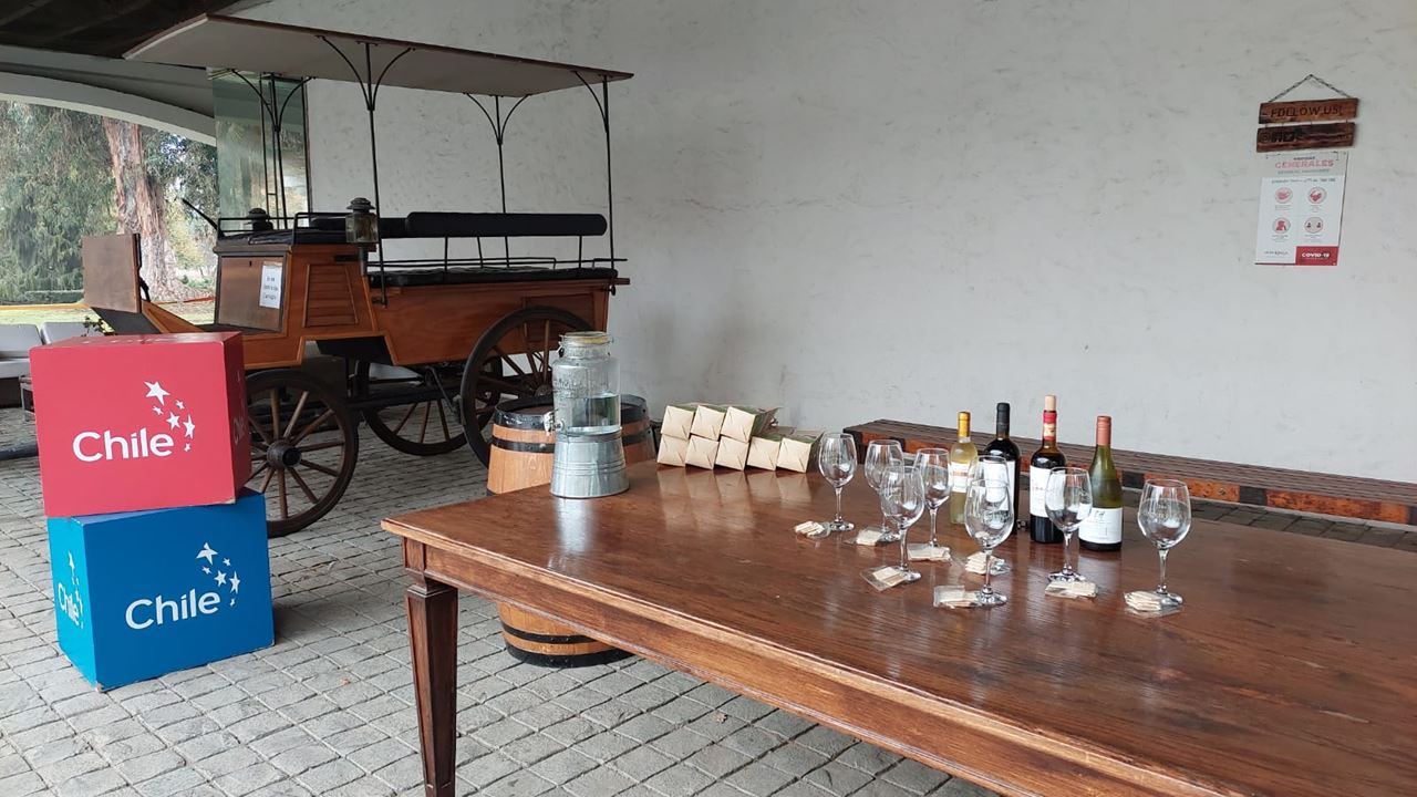 Passeio E Degustação Pela Vinícola Undurraga Saindo De Santiago (10)