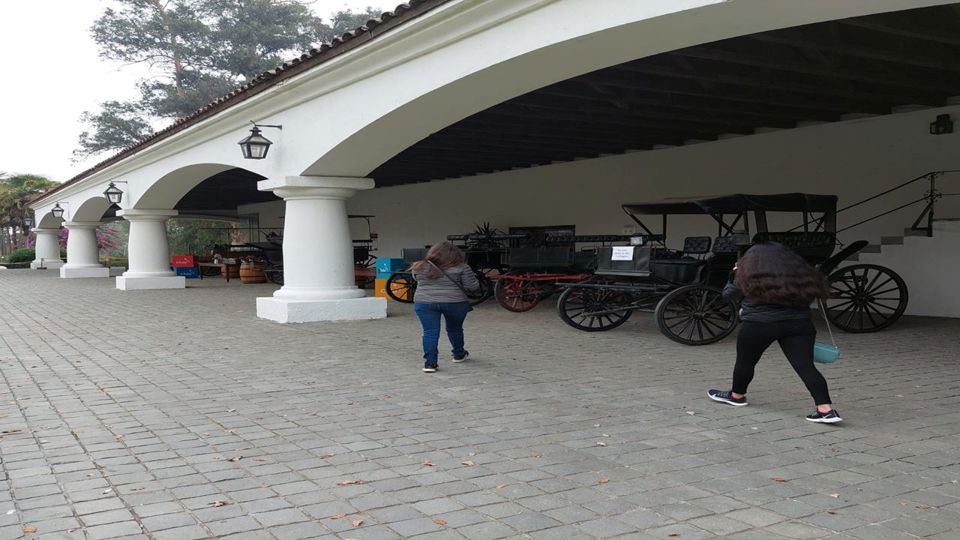 Undurraga Vineyard Tour And Tasting From Santiago foto 13