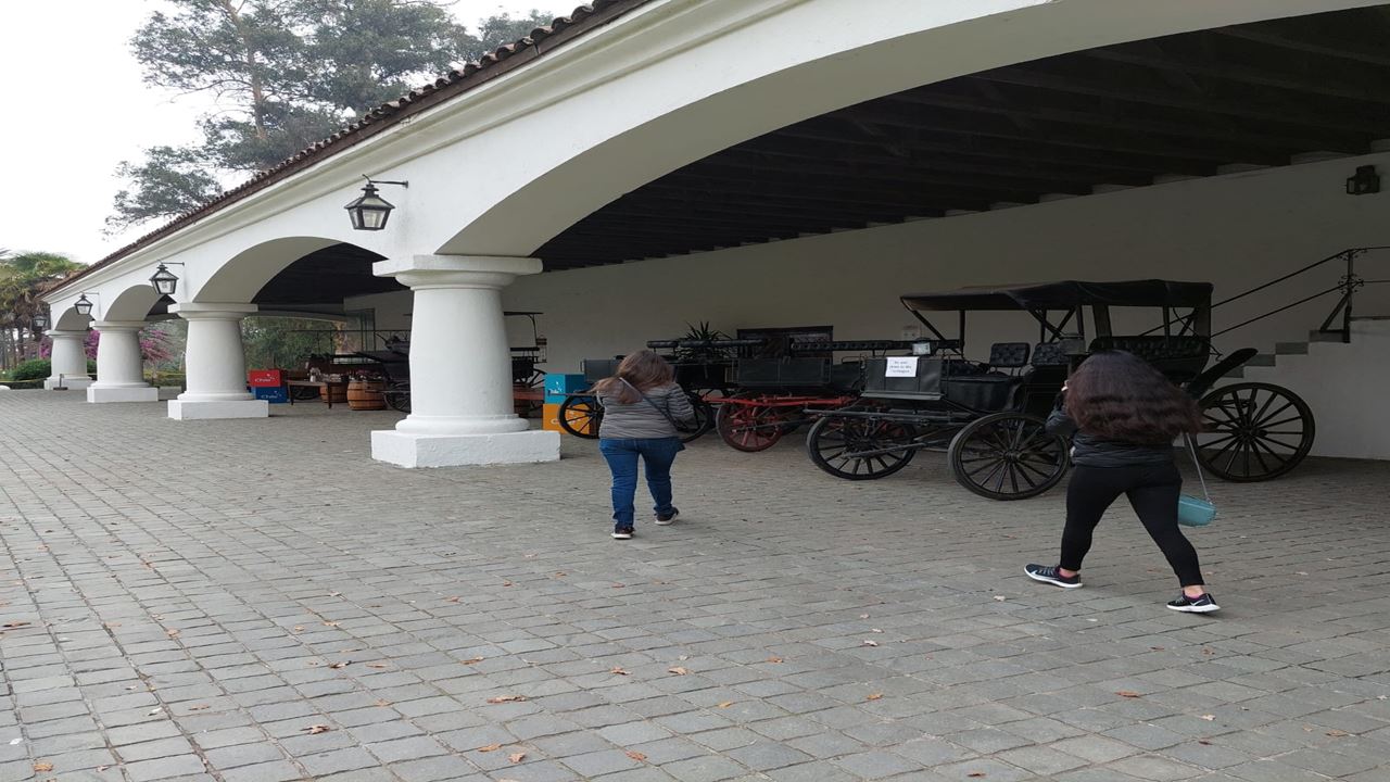 Passeio E Degustação Pela Vinícola Undurraga Saindo De Santiago (12)