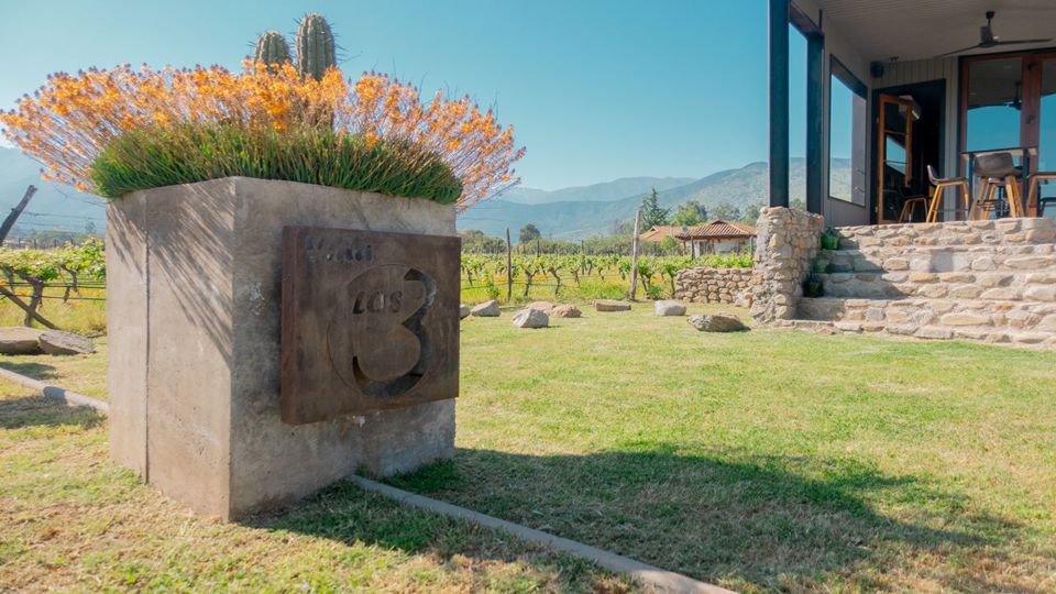 Wine Tour And Tasting - Casablanca Valley Boutique Vineyards foto 9