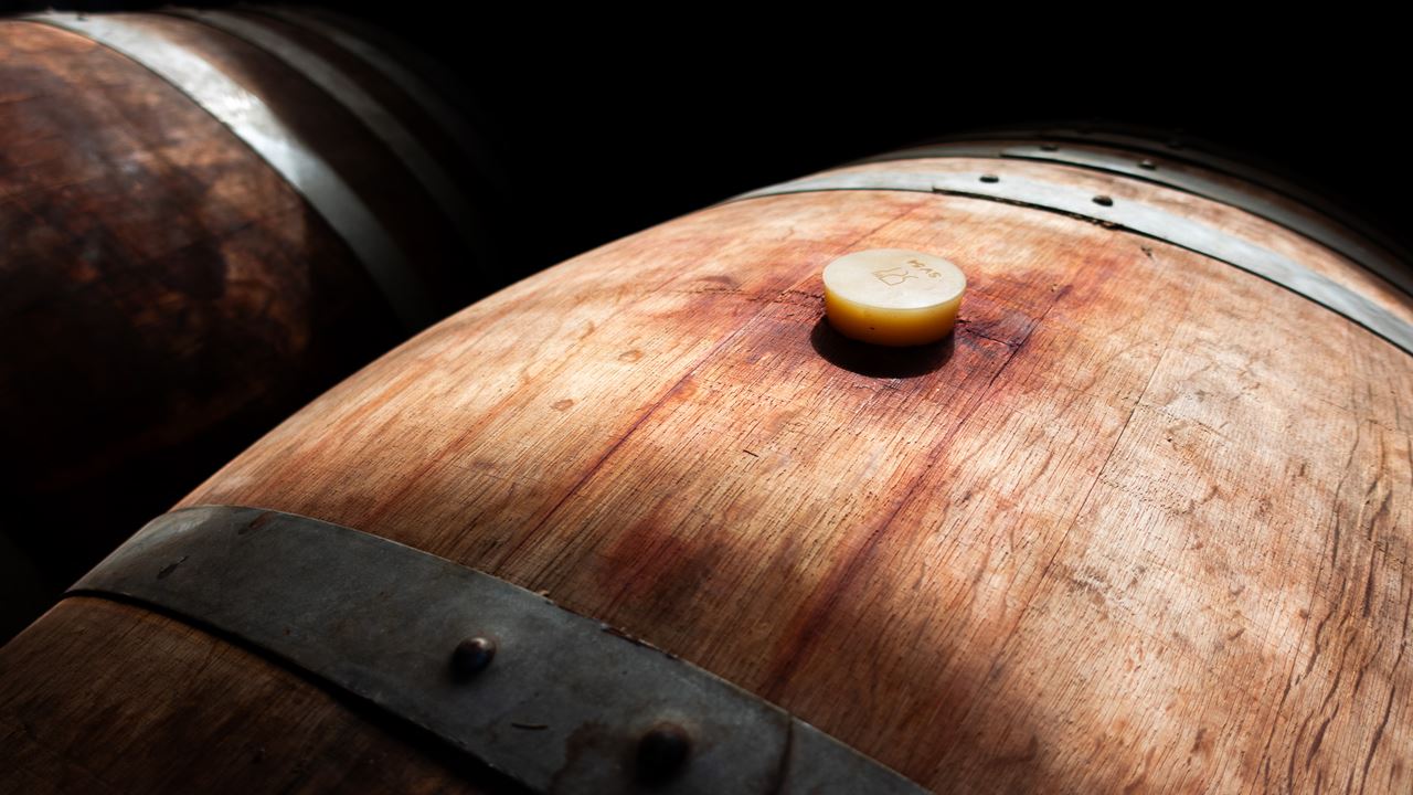 Tour E Degustação De Vinhos - Vinícolas Boutique Do Vale De Casablanca (10)