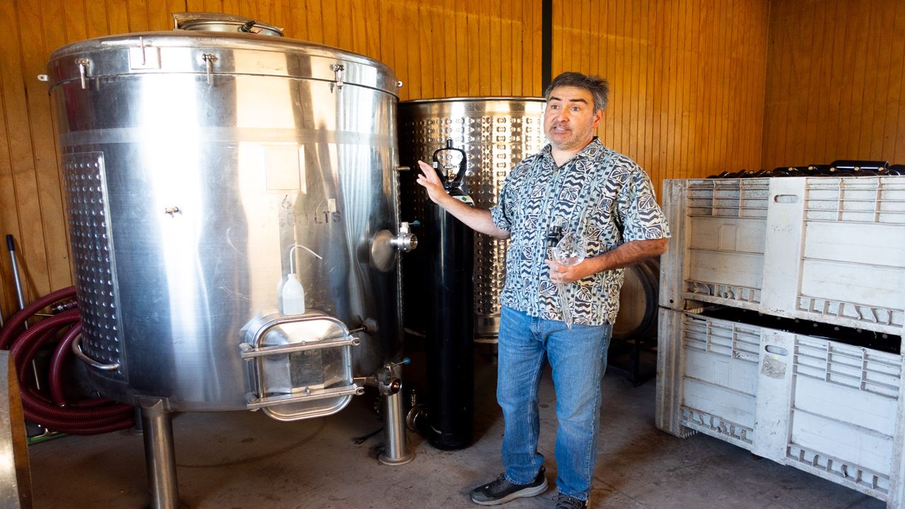 Tour E Degustação De Vinhos - Vinícolas Boutique Do Vale De Casablanca (9)