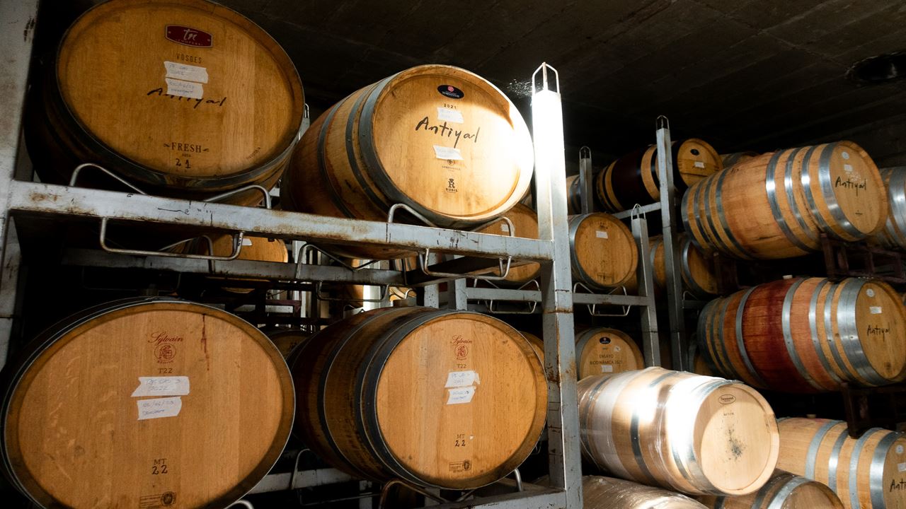 Tour E Degustação De Vinhos - Vinícolas Boutique Do Vale De Casablanca (1)