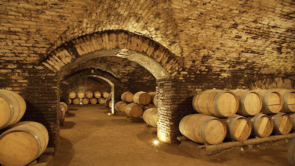 Wine Tour And Tasting - Maipo Valley Boutique Vineyards foto 3