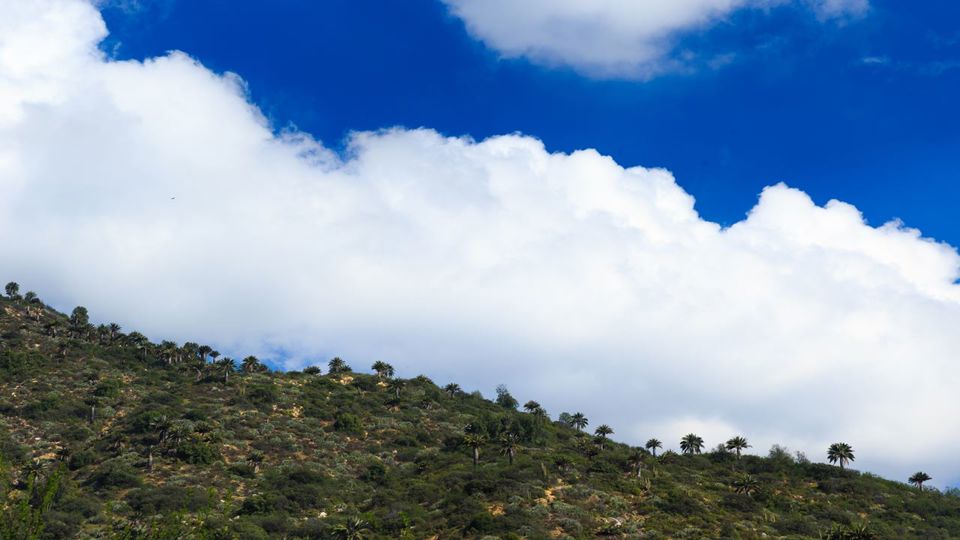 Trekking Parque Nacional La Campana foto 6