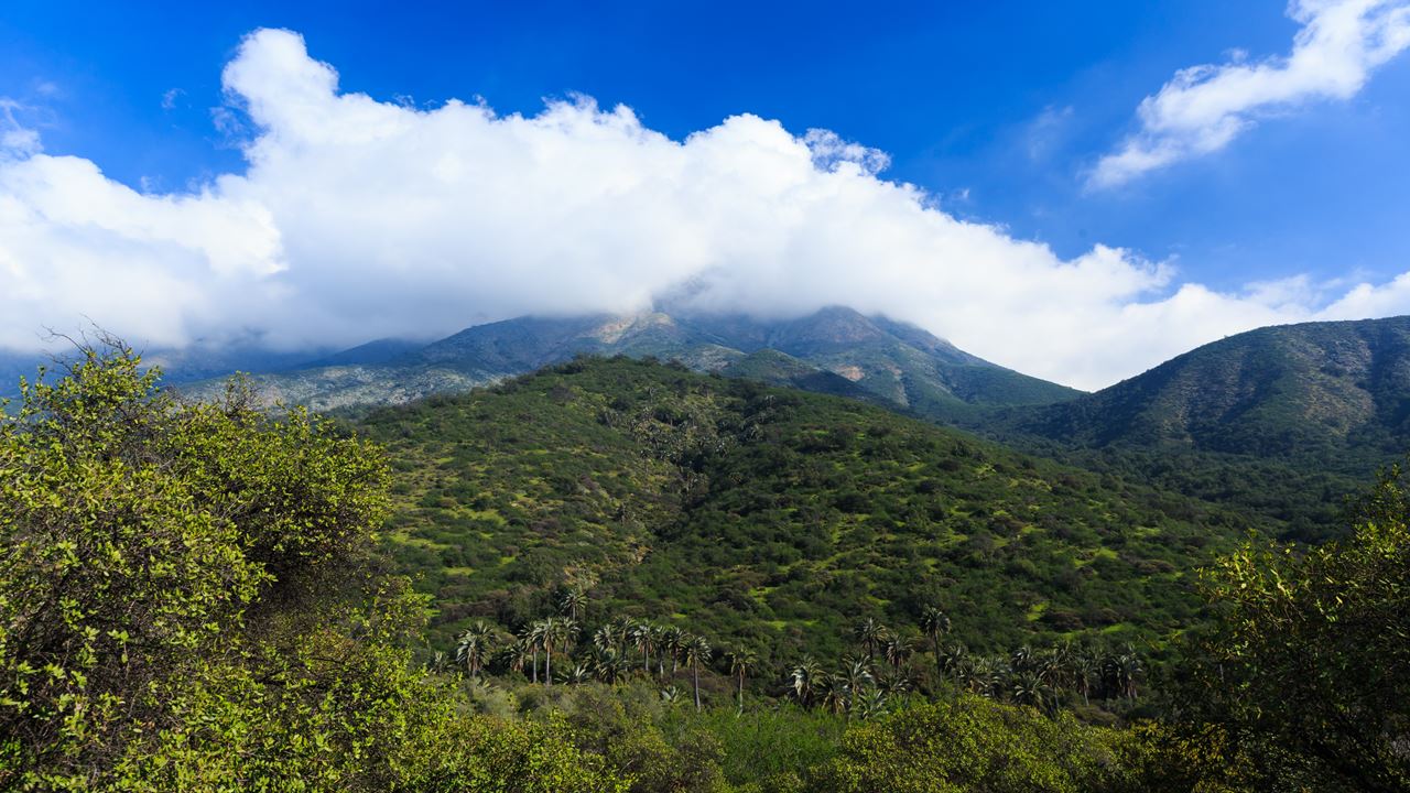 Trekking No Parque Nacional La Campana (0)