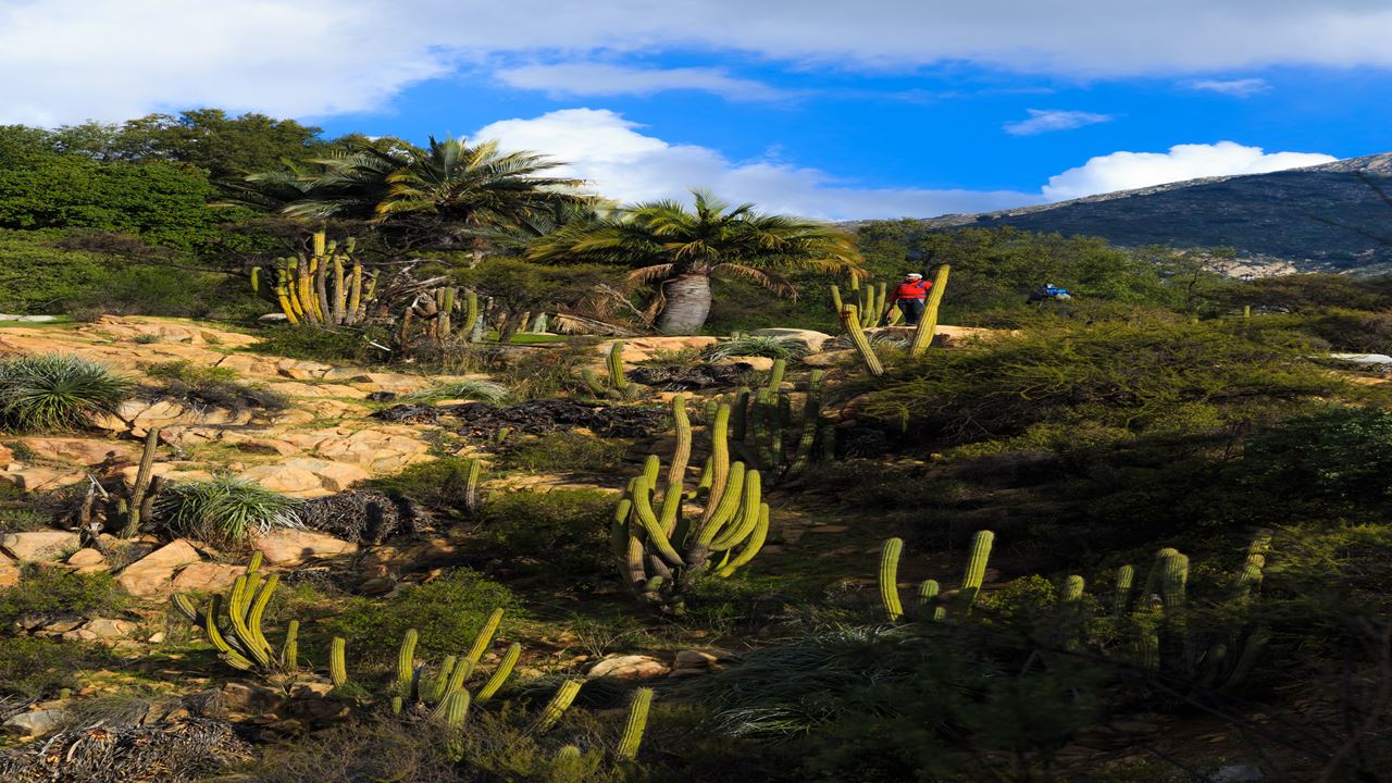 Trekking No Parque Nacional La Campana (3)
