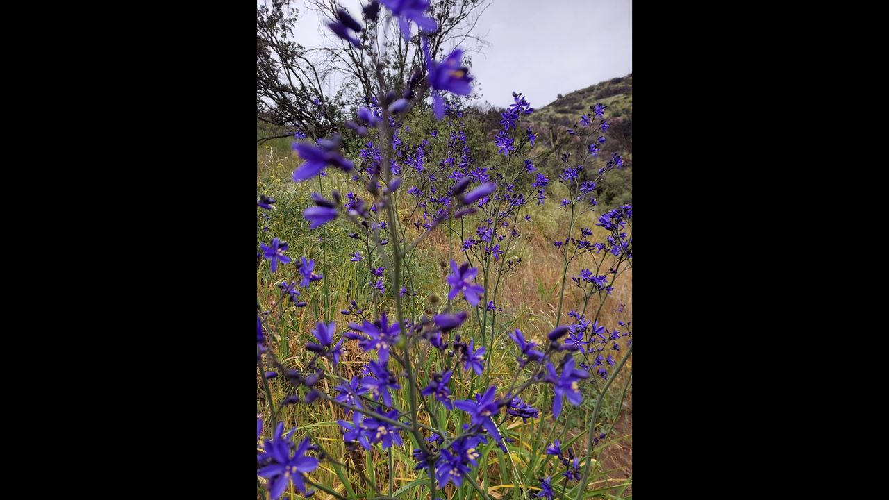 Trekking Parque Natural Águas De San Ramon (2)