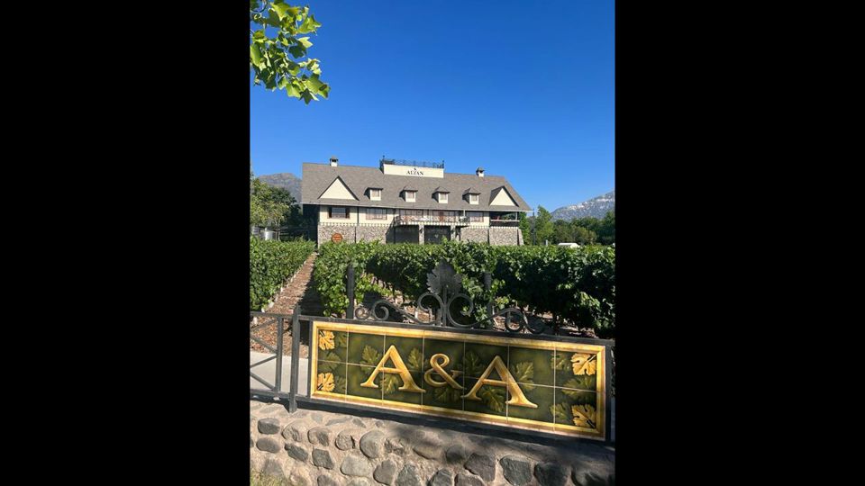 Alyan Sunset Vineyard From Santiago foto 6