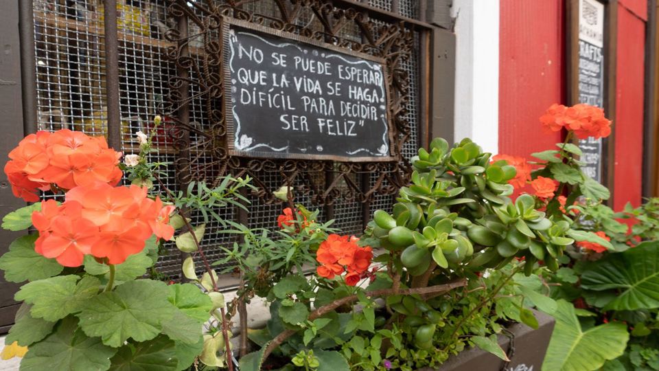 Experience Valparaiso Like A Local foto 7