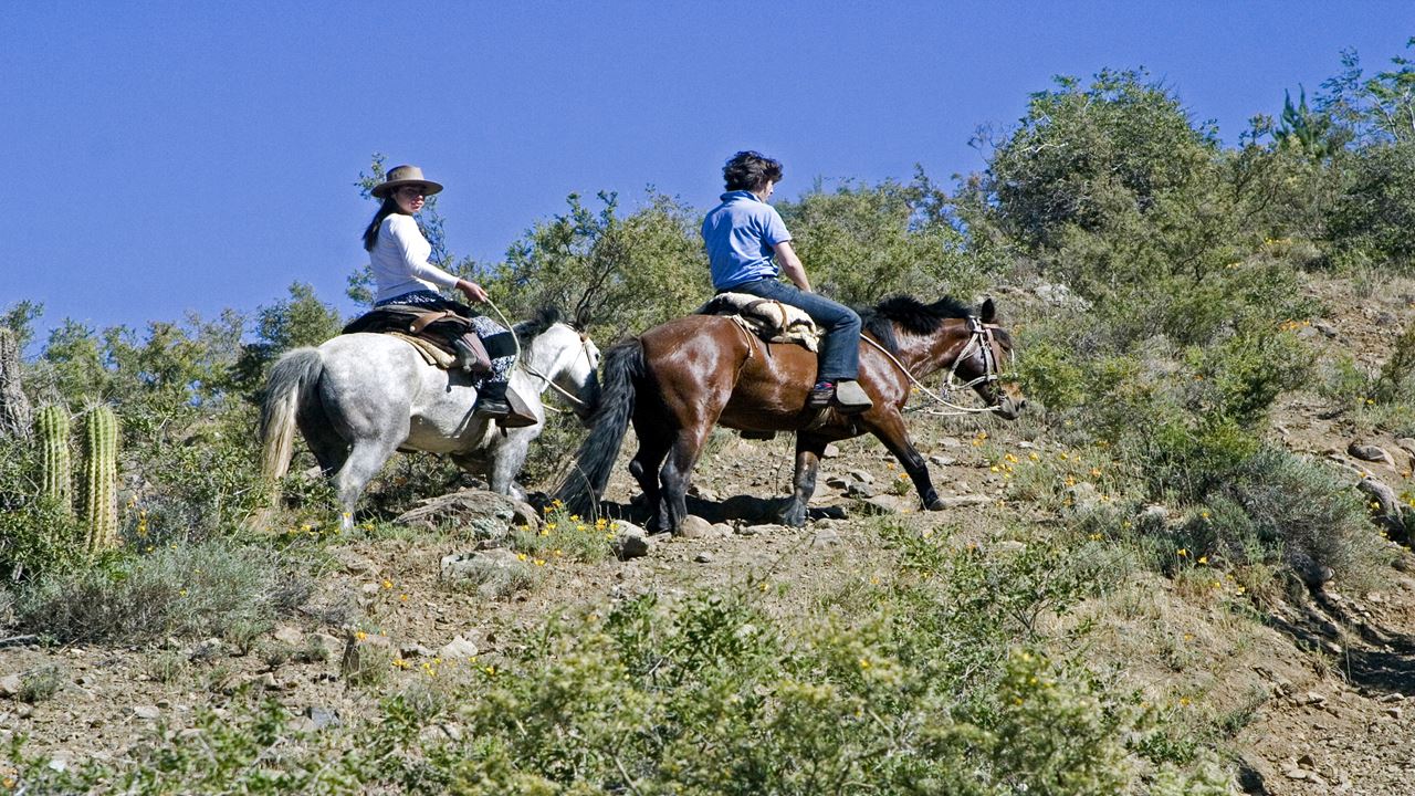 Horseback Riding Through The Animas Waterfall With Barbecue In Cajón Del Maipo
